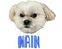Dog Sticker