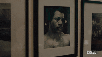 sylvester stallone legacy GIF by Creed II