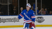 Hockey Nhl GIF by New York Rangers