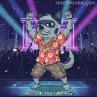 Lets Go Wow GIF by Doge Pound