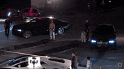 karatecombat sports sport mma punch GIF