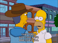 homer simpson GIF