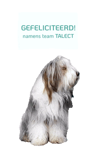 TALECT gefeliciteerd ijsselstein nieuwebaan wervingenselectie Sticker