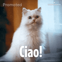 Ciao GIF by Sanpellegrino