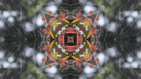 Art Film GIF by jorgemariozuleta
