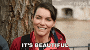 The Pack Dogs GIF by Amazon Prime Video