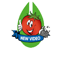 Youtube Video Sticker by axiasheer