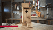 Bird Box GIF by ISUExtension