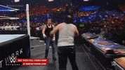 wwe sports wwe wrestling 2015 GIF