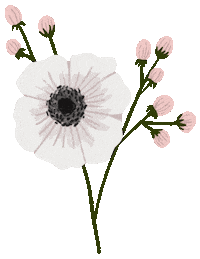 Flower Spring Sticker