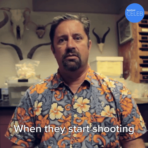 You Shoot Back