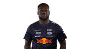 Red Bull Sr Sticker by Oracle Red Bull Racing