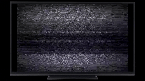 chickenfriedmice giphygifmaker tv television static GIF
