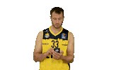 Ewe Baskets Basketball Sticker by EWE Baskets Oldenburg