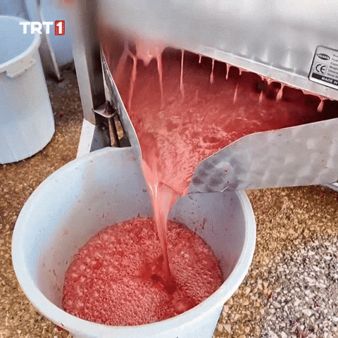 Cringe Omg GIF by TRT