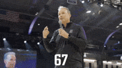 Chris Collins Cats GIF by Northwestern Athletics