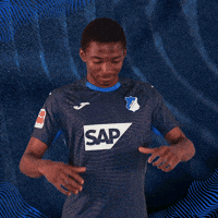 Sport Bundesliga GIF by TSG Hoffenheim