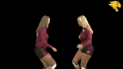 Cuc GIF by CUCougars