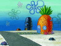 season 3 GIF by SpongeBob SquarePants