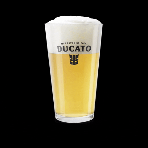 birredelducato giphyupload birra birra artigianale bicchiere GIF