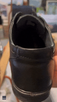 'Always Check': Gecko in Shoe Avoids Getting Squished Thanks to Careful Australian