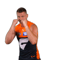 Greater Western Sydney Giants Boxing Sticker by GIANTS