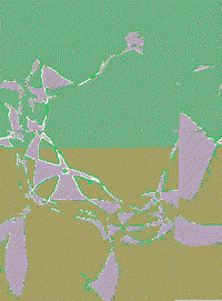 GIF by Leo Pyrata