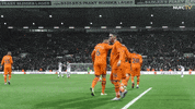 Newcastle United Fusion GIF by Newcastle United Football Club