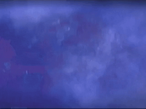 Footage Oaf GIF by jorgemariozuleta