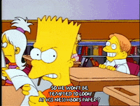 Season 1 GIF by The Simpsons