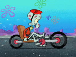 season 6 porous pockets GIF by SpongeBob SquarePants