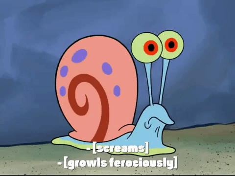 season 7 keep bikini bottom beautiful GIF by SpongeBob SquarePants
