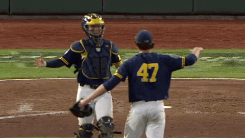 umichathletics giphygifmaker hug henry donovan GIF