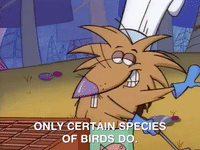 nickrewind nicksplat angry beavers GIF