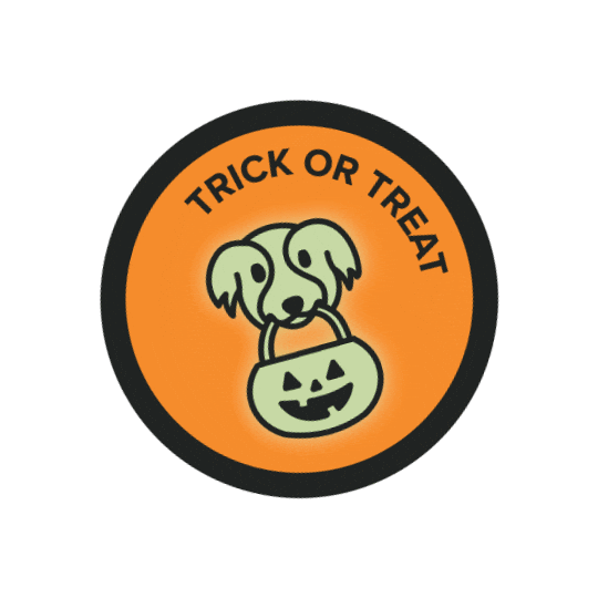 Halloween Sticker by Middlesex_County