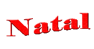 Natal Noel Sticker