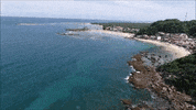 Beach Ocean GIF by André Fraga