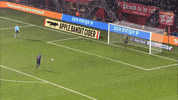 GIF by FOX Sports