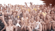 nyeonthehill festival new years eve music festival gippsland GIF