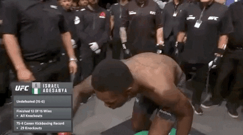 Ufc Fight Night Sport GIF by UFC