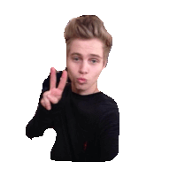 5 seconds of summer STICKER by imoji