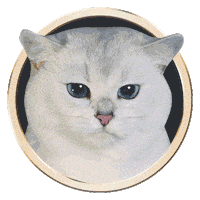 Licking Cat Food Sticker by Sheba Official