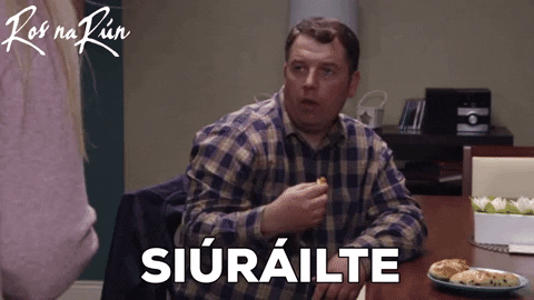 Gaeilge GIF by Ros na Rún
