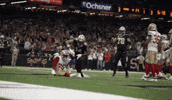2025Saintsnfl GIF by New Orleans Saints