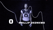American Football GIF by Munich Ravens