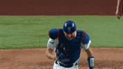 Major League Baseball Sport GIF by MLB