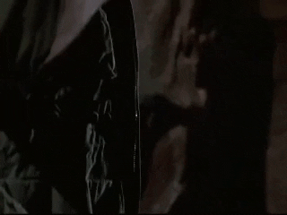 leonardorodrigues7cca giphygifmaker GIF
