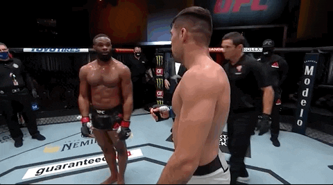 Vicente Luque Sport GIF by UFC