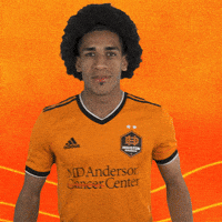 Vamos Lets Go GIF by Houston Dynamo FC