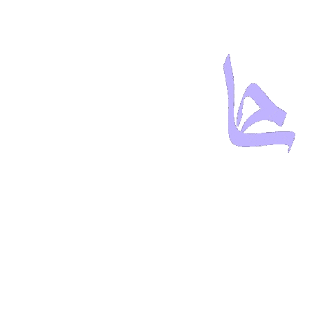 C Cam Sticker